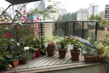 Apartamento à venda com 3 quartos, sendo 1 suíte, em Vila Andrade, São Paulo, SP