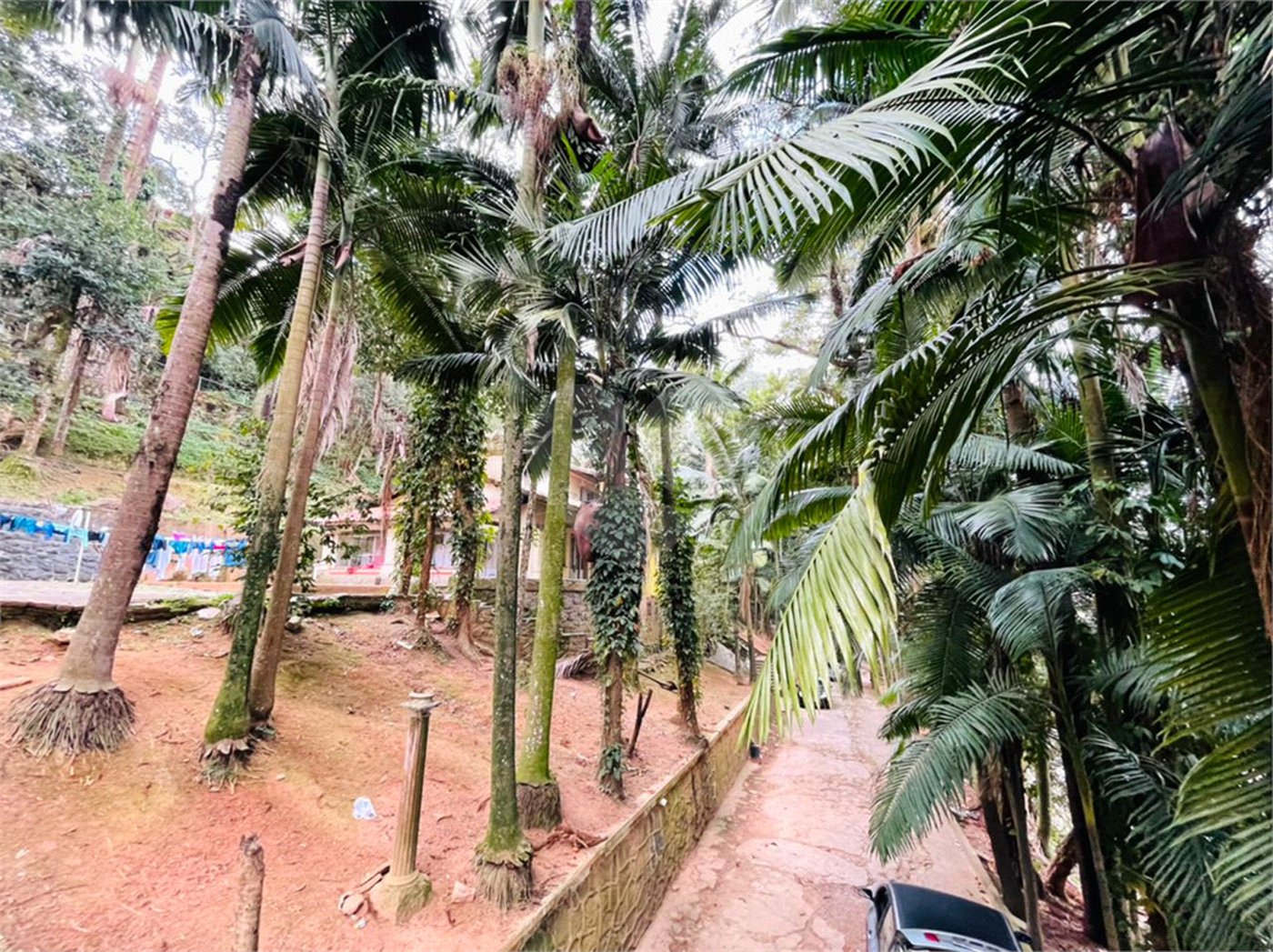 Terreno à venda em Tucuruvi, São Paulo, SP