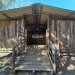 Sítio à venda com 7 alqueires, em Serra do Capetinga, Itapeva - MG