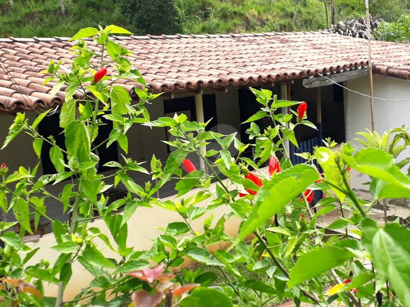 Chácara à venda com 4 quartos no Centro, São José dos Campos, SP