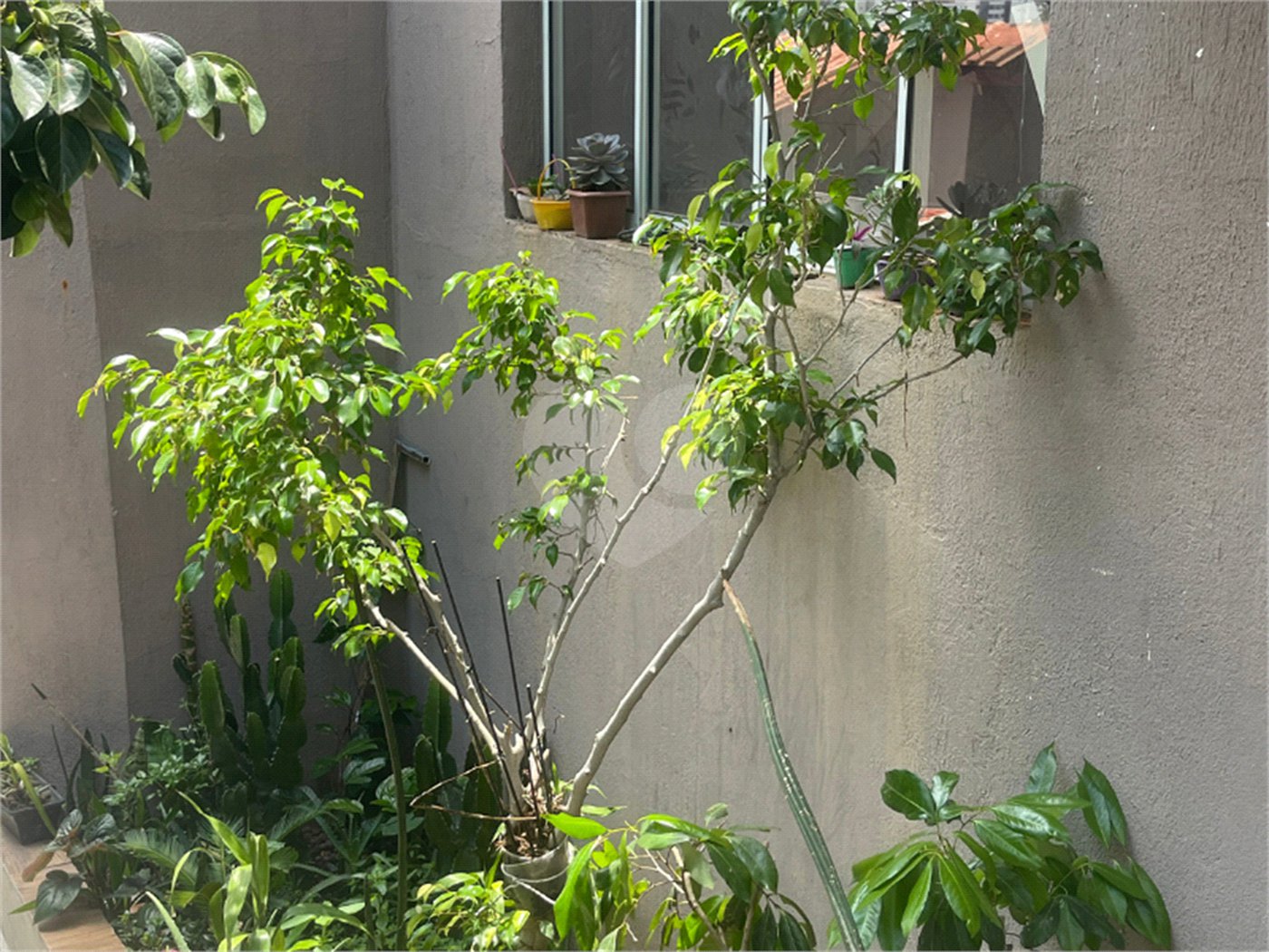 Casa à venda com 14 quartos em Vila Ipojuca, São Paulo, SP