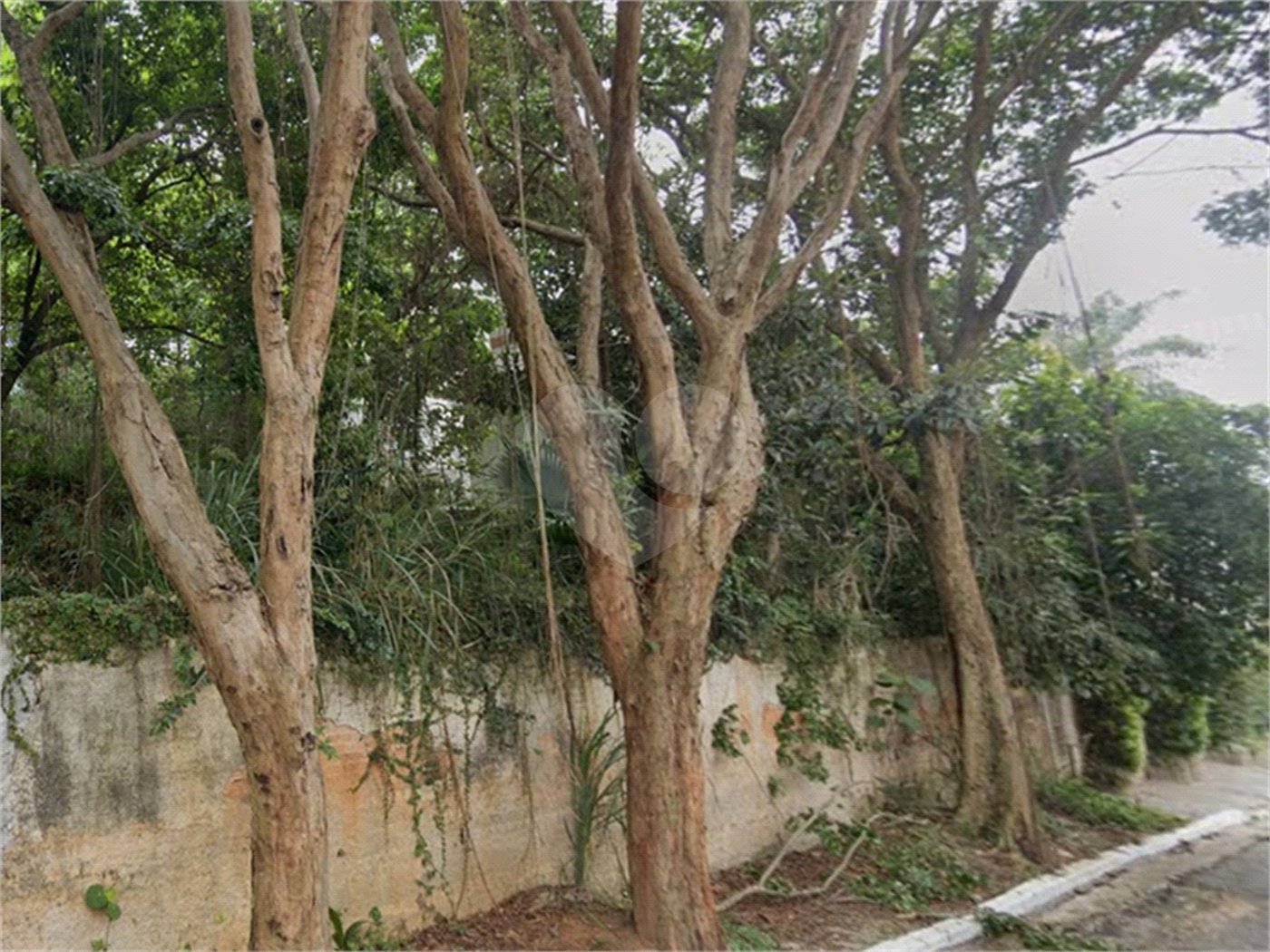 Terreno à venda em Chácara Flora, São Paulo, SP
