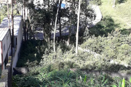 Terreno à venda ou para alugar em Vila Andrade, São Paulo, SP