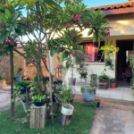 Casa à venda com 3 quartos em Parque dos Ipês I, Ponta Porã, MS