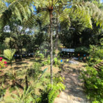 Casa à venda com 3 quartos, sendo 4 suítes, no condomínio Alpes da Cantareira, Mairiporã - SP