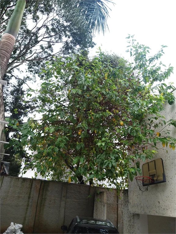 Casa à venda com 4 quartos, sendo 3 suítes, em Vila Tramontano, São Paulo, SP