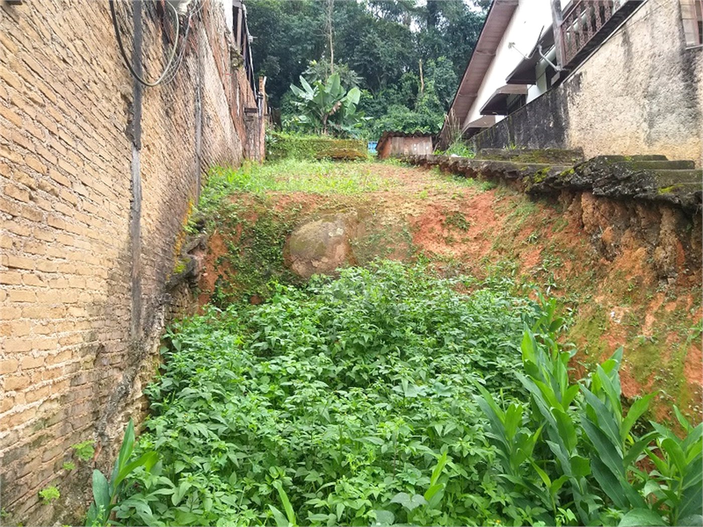 Terreno à venda em Horto Florestal, São Paulo, SP