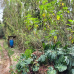 Terreno à venda em Serra da Cantareira, Mairiporã, SP