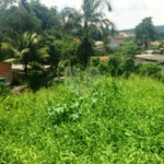 Terreno à venda em Horto, São Paulo, SP