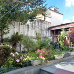 Casa Térrea à venda com 3 quartos, sendo 1 suíte, em Vila Paulicéia, São Paulo, SP
