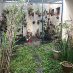 Sobrado à venda com 5 quartos, sendo 1 suíte, em Tremembé, São Paulo, SP