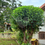 Casa à venda com 5 quartos, sendo 2 suítes, em Rancho Grande, Mairiporã, SP