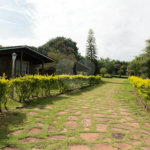 Fazenda à venda com 11 quartos no Centro, Analândia, SP