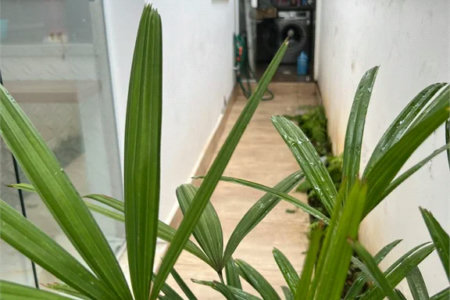 Sobrado à venda com 3 quartos, sendo 1 suíte, em Jardim Vazani, São Paulo, SP