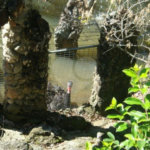Sobrado à venda com 5 suítes em Juqueri Mirim, Mairiporã, SP