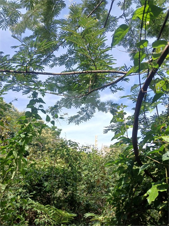 Terreno à venda em Jardim Patriarca, Ribeirão Preto, SP