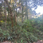 Terreno à venda em Serra da Cantareira, Mairiporã, SP