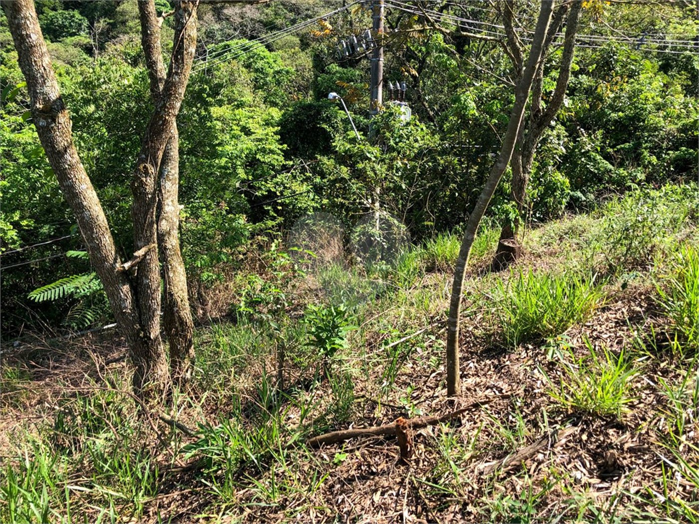 Terreno à venda em Bairro do Cambará, São Roque, SP
