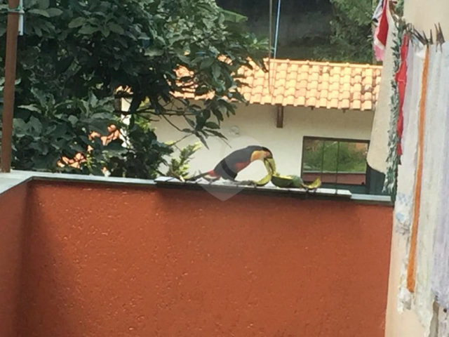 Sobrado à venda com 6 quartos, sendo 2 suítes,  em Horto Florestal, São Paulo, SP