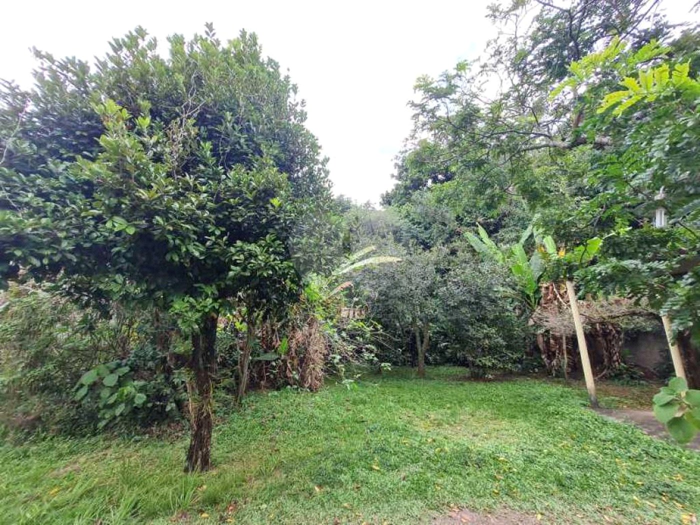 Casa à venda com 1 quarto, sendo 3 suítes, em Campo Grande, Rio de Janeiro, RJ