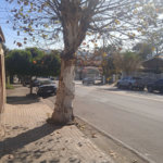 Casa à venda com 8 quartos, sendo 3 suítes, em Jardim Terceiro Centenário, Atibaia, SP