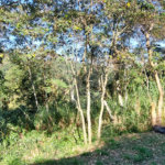 Terreno à venda no condomínio Alpes da Cantareira, Mairiporã - SP
