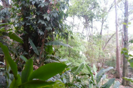 Sobrado à venda com 5 quartos, sendo 3 suítes,  em Fazenda Morumbi, São Paulo, SP