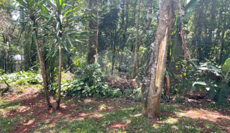 Terreno à venda no condomínio Cantareira, Mairiporã - SP