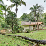 Casa à venda com 5 suítes no condomínio Chácara Flora, São Paulo - SP