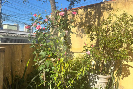 Casa à venda com 3 quartos em Socorro, São Paulo, SP