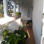 Sobrado à venda com 4 quartos, sendo 1 suíte, em Pirituba, São Paulo, SP