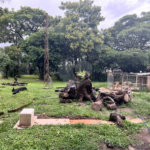 Terreno à venda em Loteamento Terras de São Pedro e São Paulo, Salto, SP