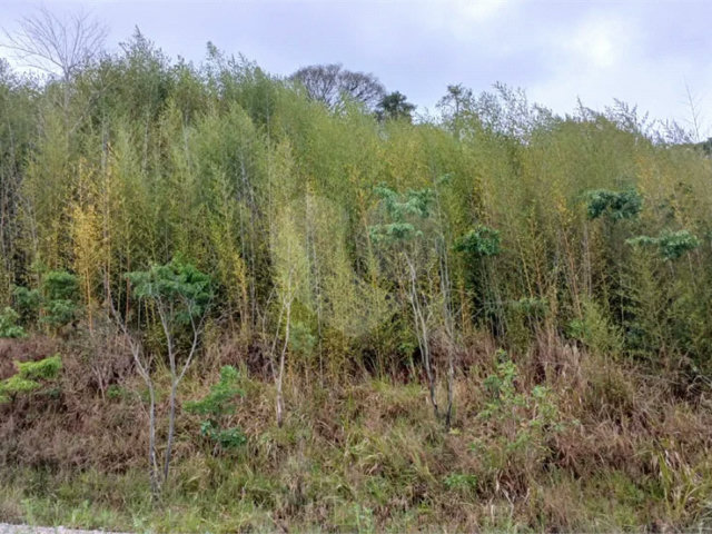 Terreno à venda em Luiz Fagundes, Mairiporã, SP