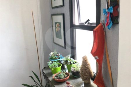 Apartamento à venda com 3 quartos, sendo 1 suíte, em Vila Azevedo, São Paulo, SP