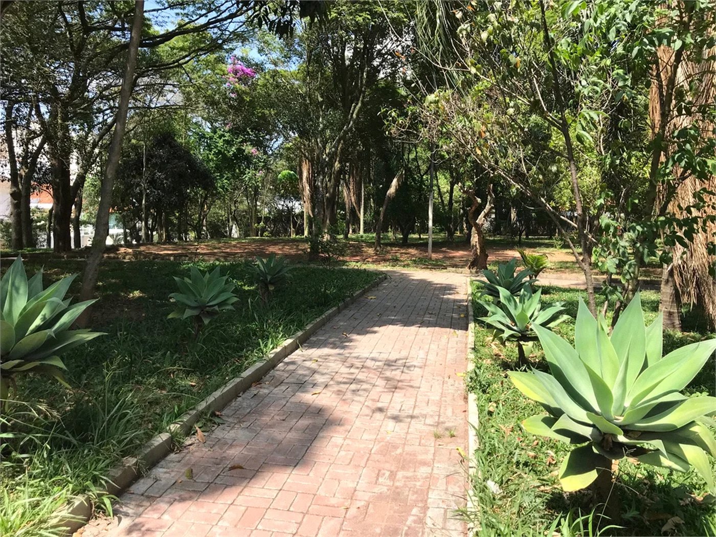 Terreno à venda em Lar São Paulo, São Paulo, SP