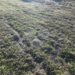 Terreno à venda no condomínio Terras de Santa Izabel, Salto - SP