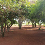 Chácara à venda com 1 quarto no Centro, Araraquara, SP