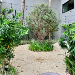 Apartamento à venda com 1 quarto em Perdizes, São Paulo, SP
