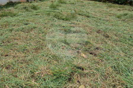 Terreno à venda em Parque Residencial Itapeti, Mogi das Cruzes, SP
