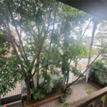Casa à venda com 4 quartos, sendo 2 suítes, em Planalto Paulista, São Paulo, SP