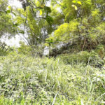 Terreno Residencial à venda, Morro de Nova Cintra, Santos - TE0034.
