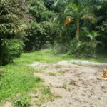 Terreno à venda em Horto, São Paulo, SP