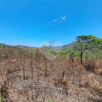Terreno à venda em Serra da Cantareira, Mairiporã, SP