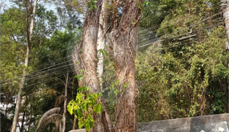 Terreno à venda em Tucuruvi, São Paulo, SP