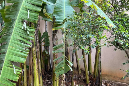 Terreno à venda em Santana, São Paulo, SP