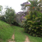 Chácara à venda com 3 quartos, sendo 1 suíte, em Jardim 21 de Março, Louveira, SP
