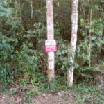 Terreno à venda em Serra da Cantareira, Mairiporã, SP