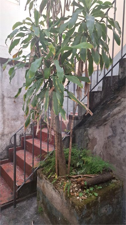 Casa Térrea à venda com 3 quartos em Vila Pompéia, São Paulo, SP