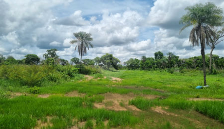 Terreno à venda no Centro, Santo Antônio do Leverger, MT