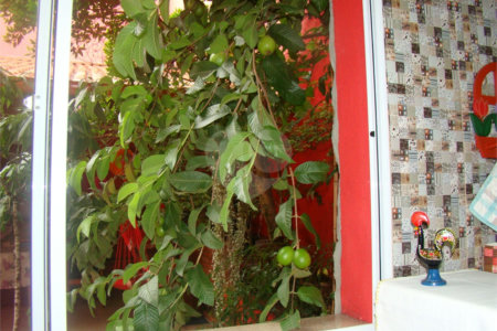 Sobrado à venda com 2 quartos, sendo 1 suíte, em Jardim São Luís, Suzano, SP